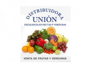 Logo-distribuidora-union