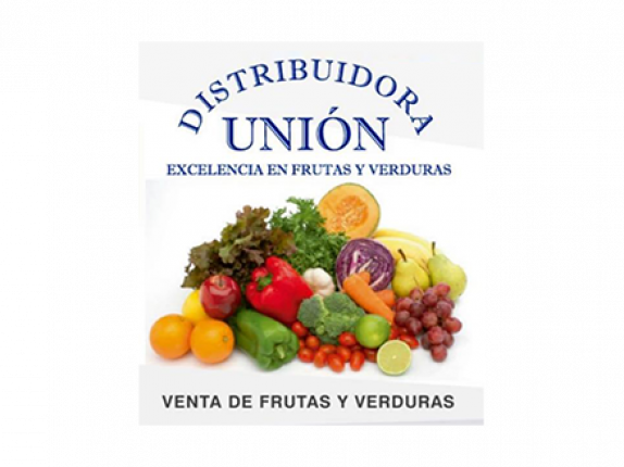 Logo-distribuidora-union